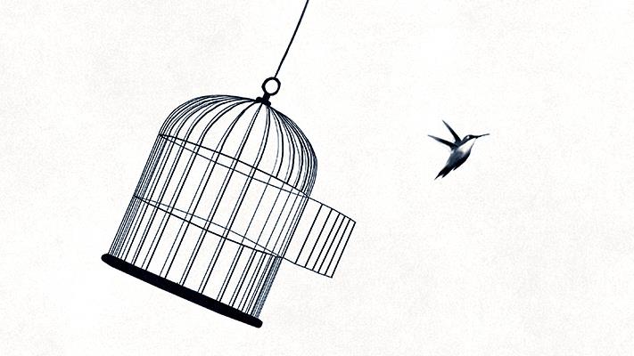 Illustration of a bird flying out of a birdcase