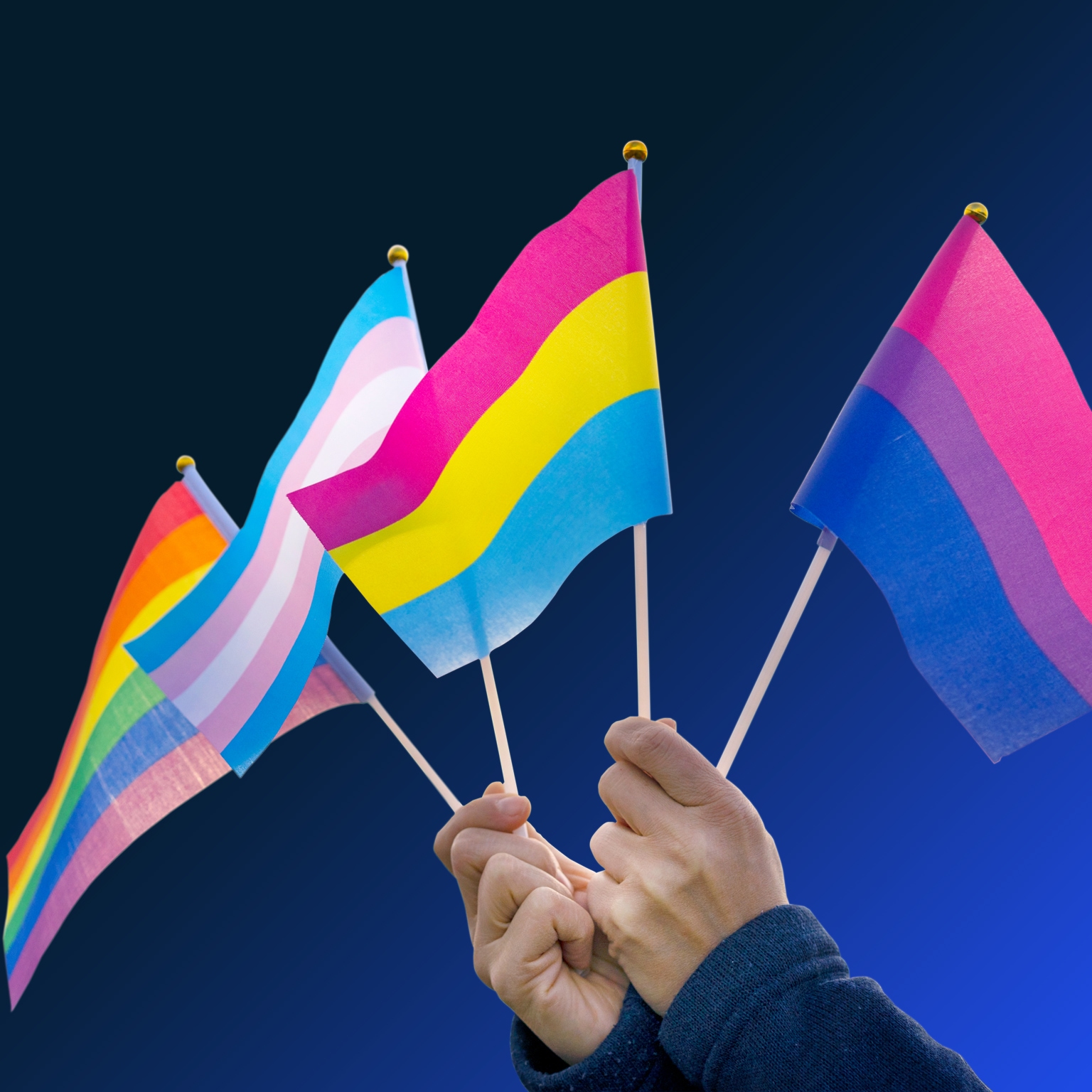 Image of several Pride flags