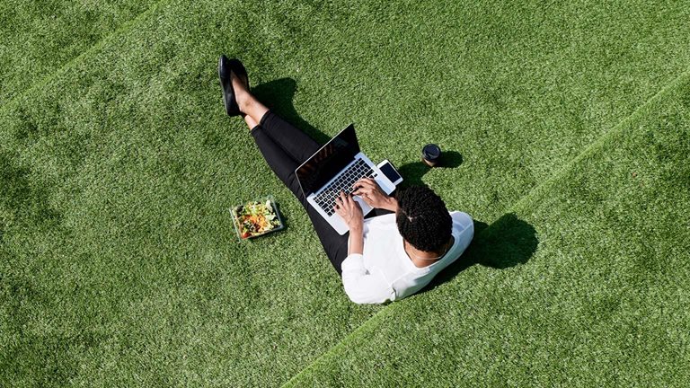 Image of a person typing on a laptop in the grass