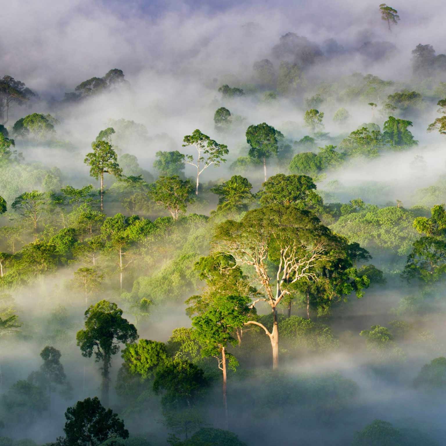 Environmental Sustainability - Our commitment to environmental sustainability