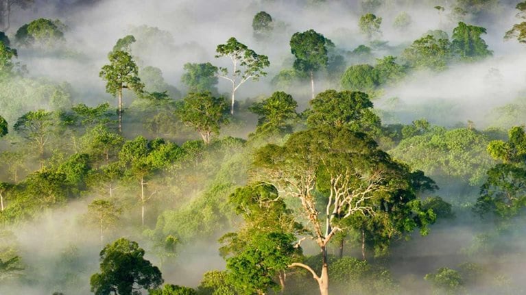 Environmental Sustainability - Our commitment to environmental sustainability