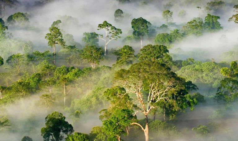 Environmental Sustainability - Our commitment to environmental sustainability