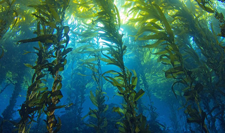 Investing in technology