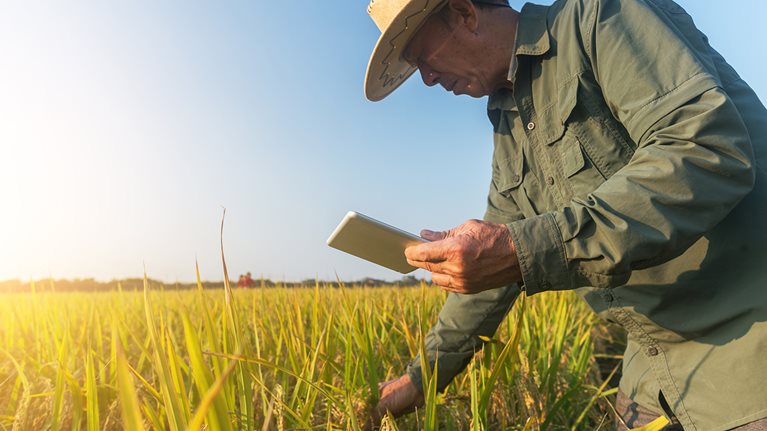A Japanese partner working to feed the world
