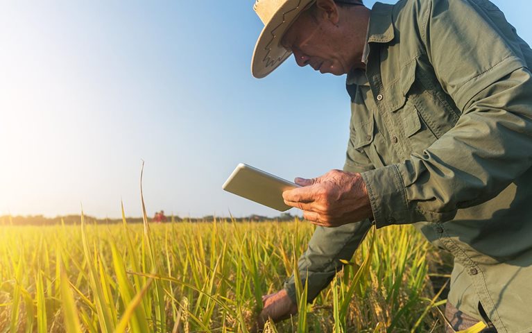 A Japanese partner working to feed the world
