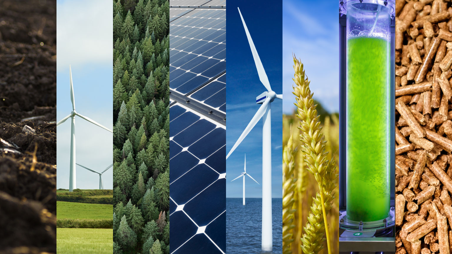 A revolutionary tool for cutting emissions, ten years on