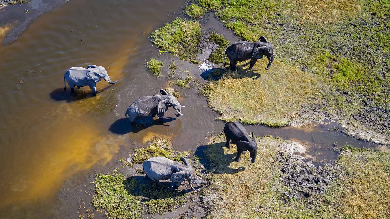 AI for social good: Ask the author, with Michael Chui