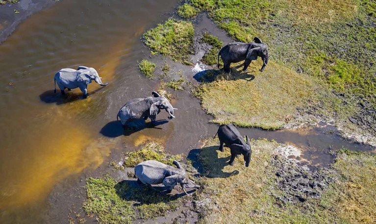 AI for social good: Ask the author, with Michael Chui