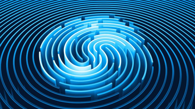 3D rendering of stylized fingerprint of smooth lines of spline gradient waves