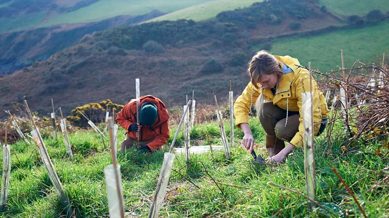 At Climate Week, McKinsey helps explore financing nature at scale