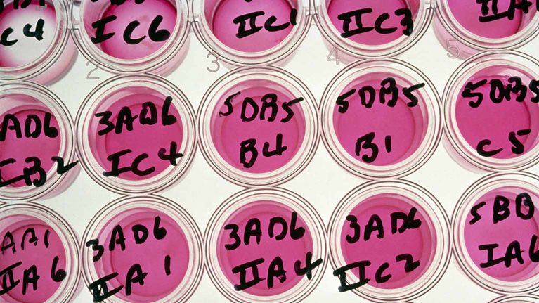 Boosting the systems that battle cancer: Meet our oncology experts at the McKinsey Cancer Center