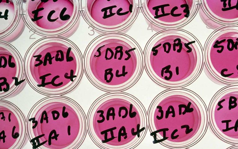 Boosting the systems that fight cancer: Meet our oncology experts