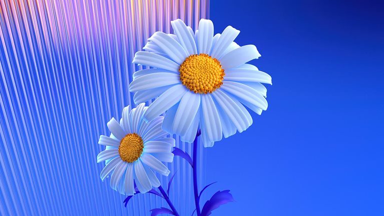 Fostering sustainable growth for East Africa’s farmers