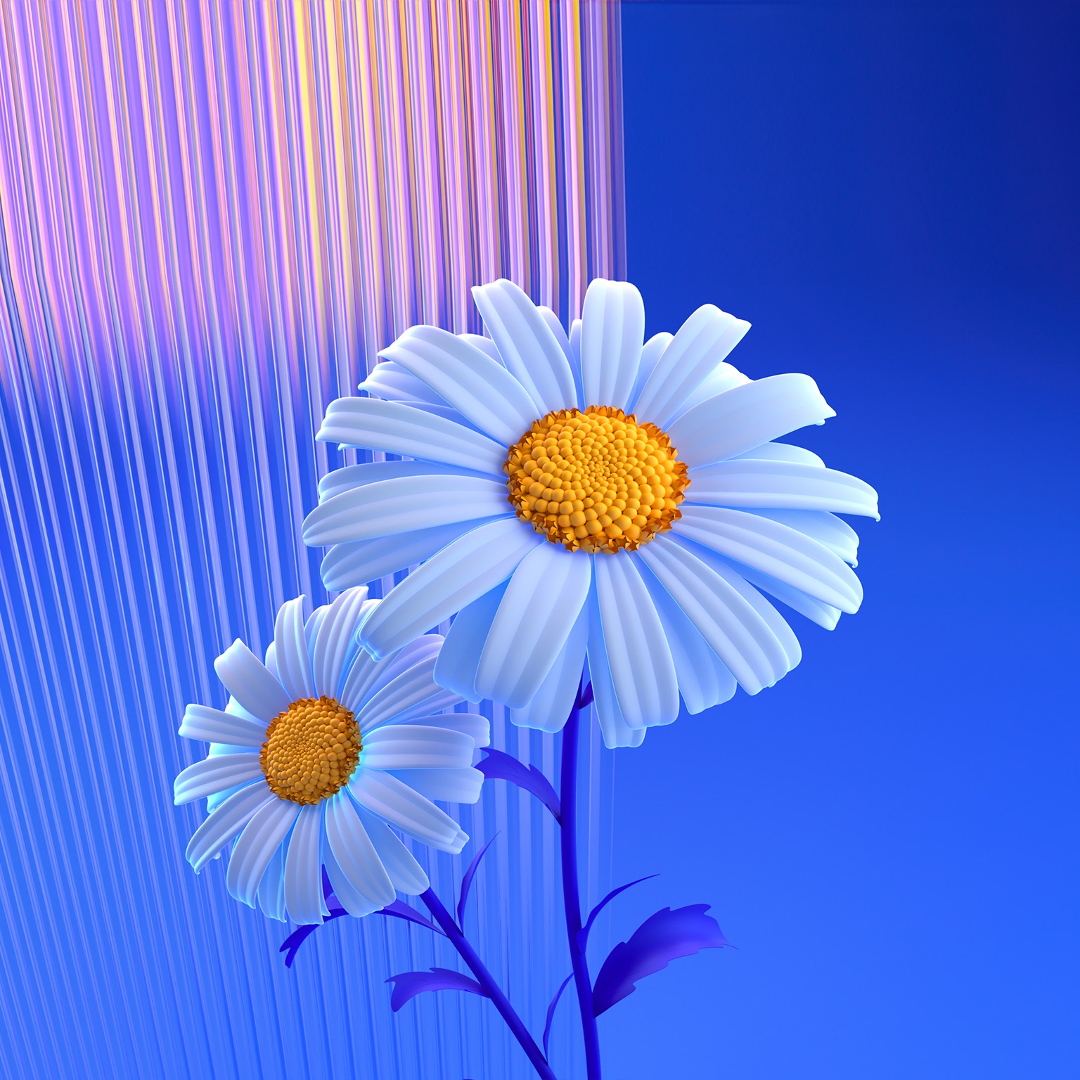 Daisies on a blue background