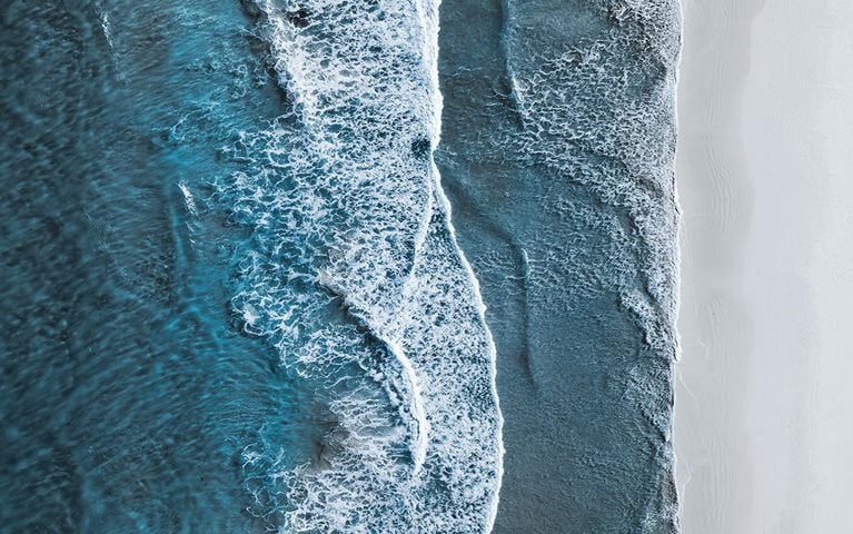 Can data science turn ocean conservation dreams into reality?