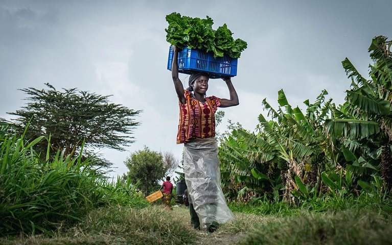 What will a green global economy cost? Our experts on the numbers—and what’s at stake.