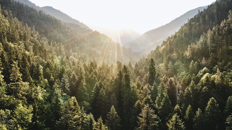 On an Earth Day marked by pandemic, why addressing climate risk is as important as ever