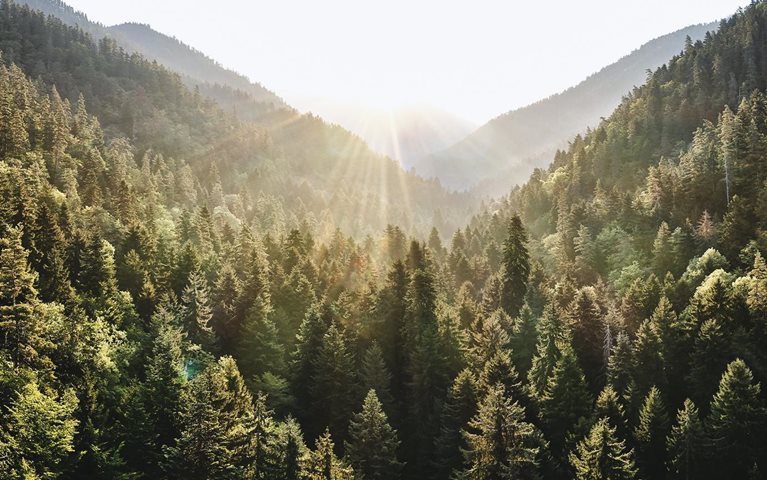 On an Earth Day marked by pandemic, why addressing climate risk is as important as ever