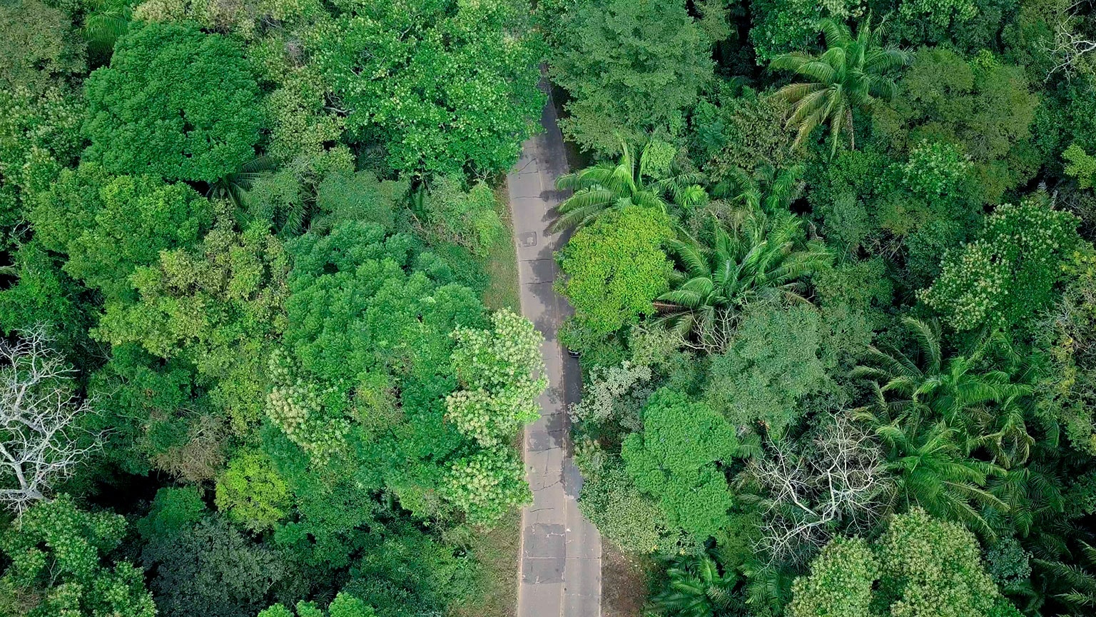 Investing in Nature: building local economies through conservation