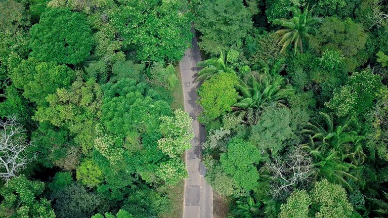 Investing in Nature: building local economies through conservation