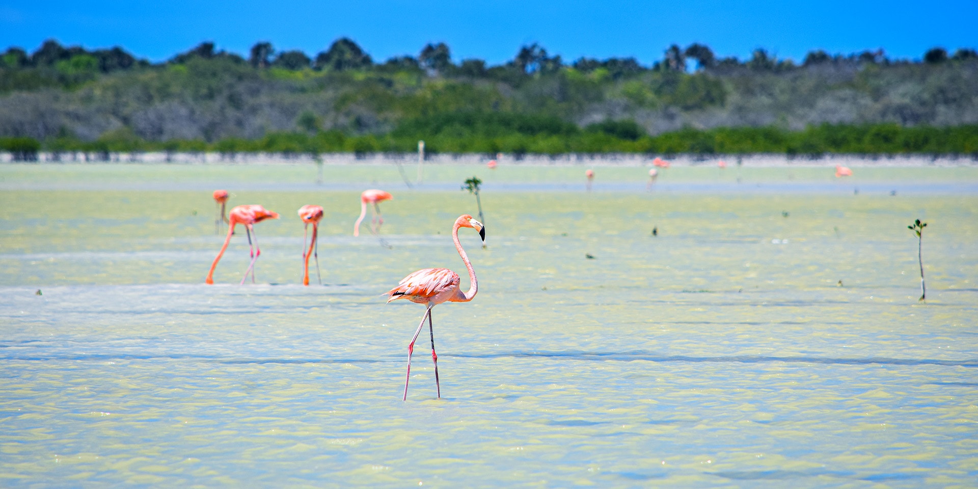Powering economic potential while preserving nature in the Dominican Republic