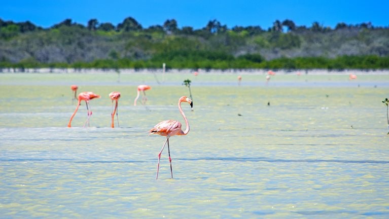 Powering economic potential while preserving nature in the Dominican Republic
