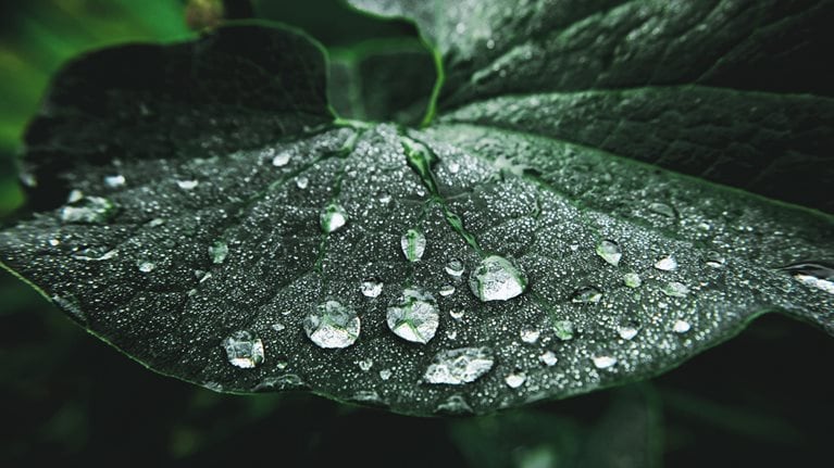 Our latest commitment to protect the planet: Reaching net-zero climate impact by 2030