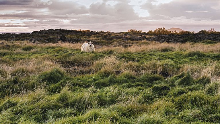 The quantified case for protecting the natural world