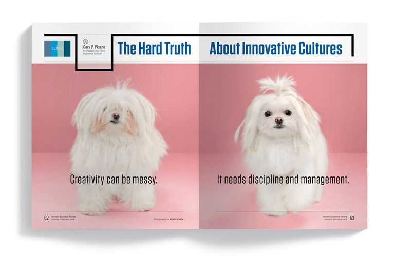 Why are innovative cultures so hard to get right? The winner of the 2020 HBR McKinsey Award explains.