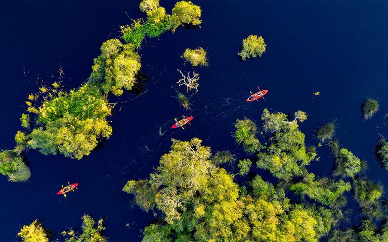 With gen AI, helping green businesses strengthen our ‘blue economy’