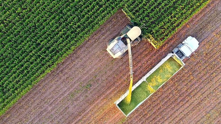 Tractor and farm machines harvesting corn in Autumn, aerial view