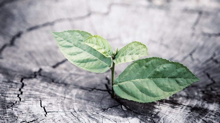 B2B commercial analytics: What outperformers do