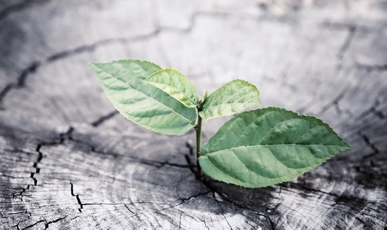 B2B commercial analytics: What outperformers do