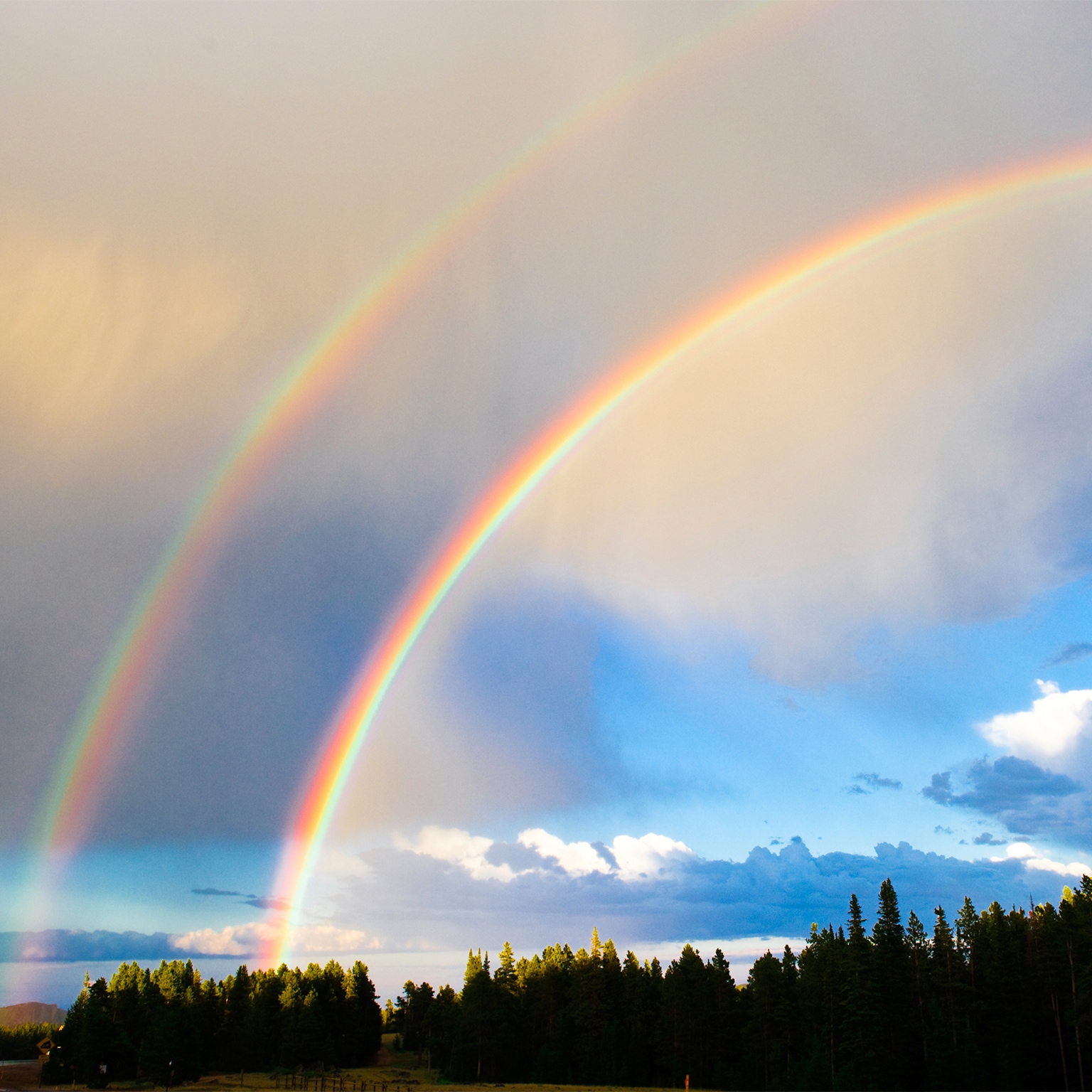 Image_hero-best-of-both-worlds-app