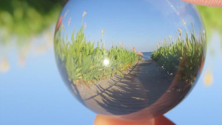 Commercial excellence: Your path to growth