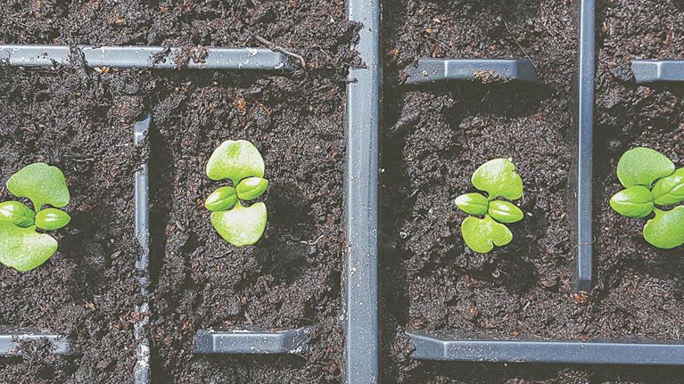 Debunking four myths of organic growth