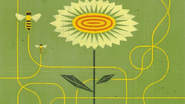 B2B-CDJ_1536x1536_Original