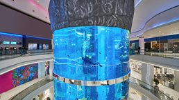 How the mall business can reinvent itself