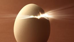 NOW NEW NEXT: How growth champions create new value