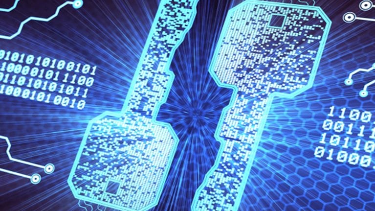 Image_hero-quality-and-relevance-the-twin-keys-to-digital-growth