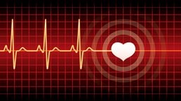 The heartbeat of modern marketing: Data activation and personalization