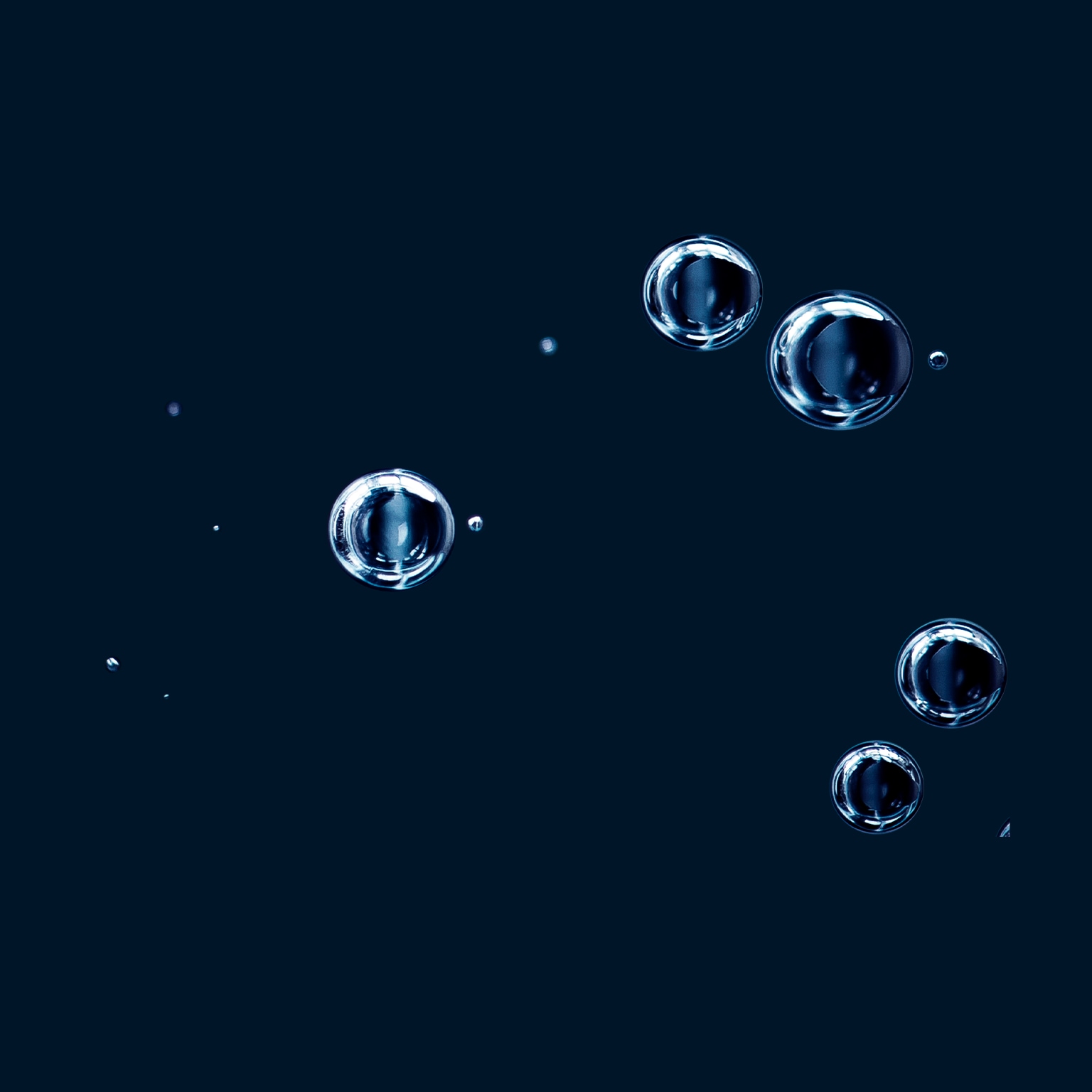 Holiday shopping 2020 press release