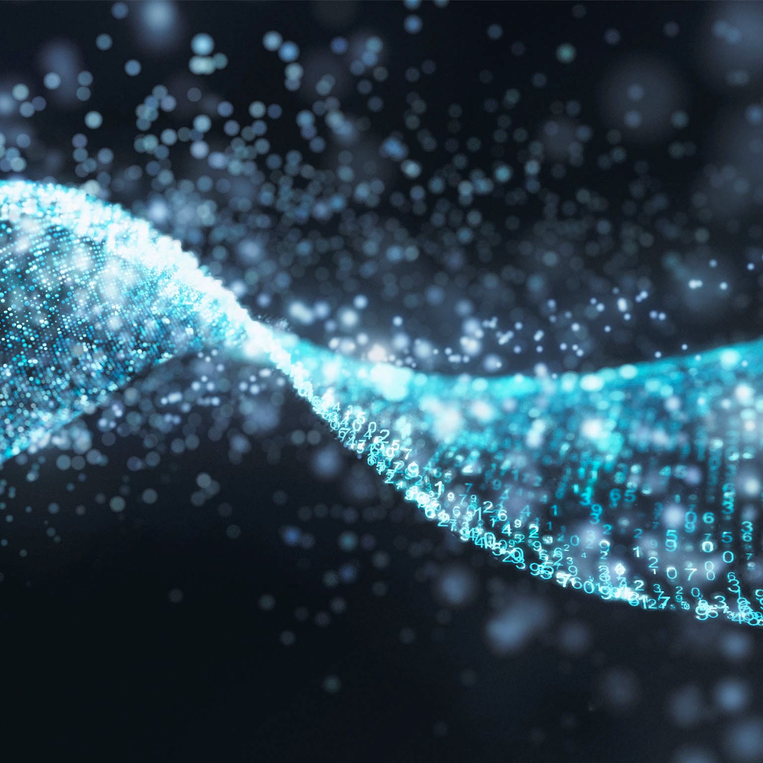 Experience Essentials