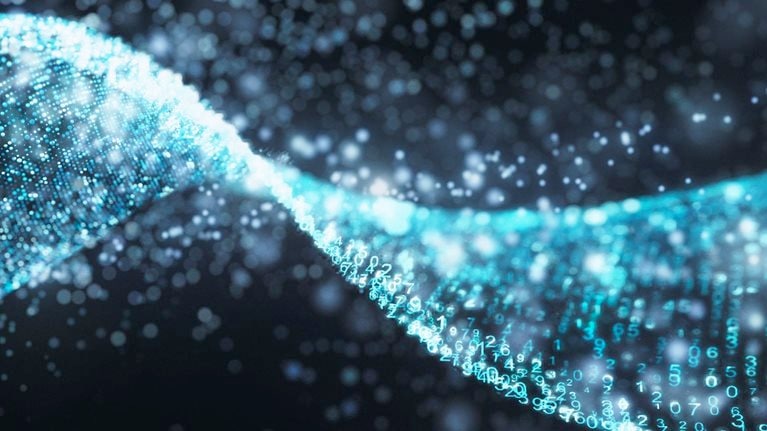 Experience Essentials