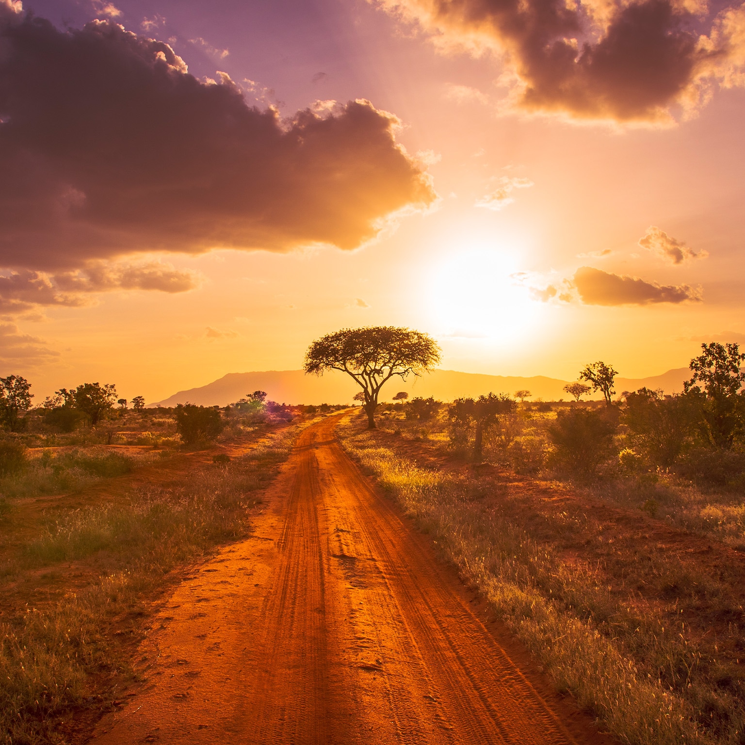 Africa’s leap ahead into cloud: Opportunities and barriers