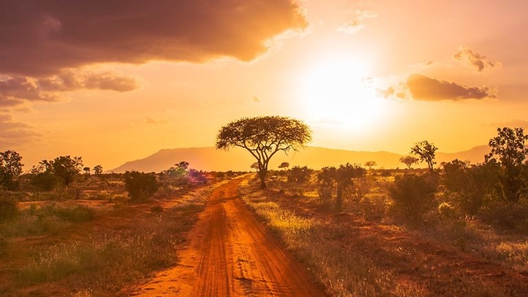 Scenic view of field against sky during sunset, Kenya - stock photo