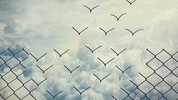 IandP_MoBT_39_Beyond agile_1536x1536_Original