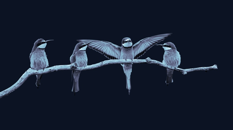 Four myths about building a software business