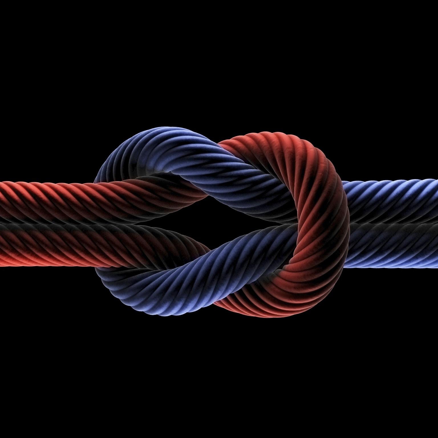 InsightHowCompaniesSucceedThroughRadicalEngagement_Standard