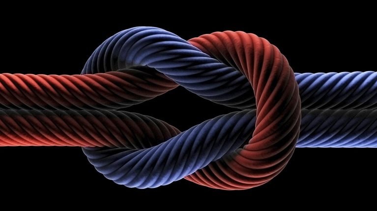 InsightHowCompaniesSucceedThroughRadicalEngagement_Standard